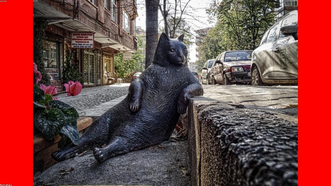 Jamaican real estate agent showing property to clients outdoors